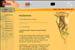 Stories From the Design Team Second Level Page Thumbnail